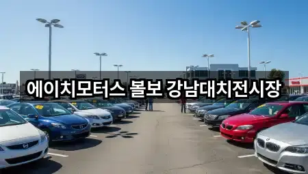 에이치모터스 볼보 강남대치전시장