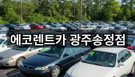 광주광역시 도호동렌트카 시공 사례 5건