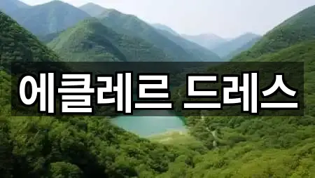 에클레르 드레스