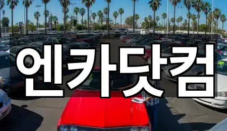 비용 확인: 서울특별시 중구 순화동 중고차 5곳