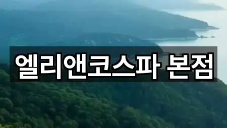 엘리앤코스파 본점