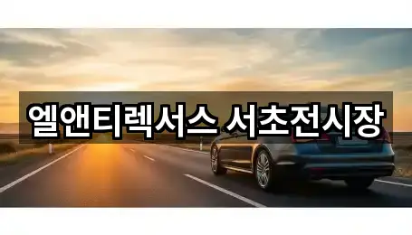 서울 서초구 서초동 자동차전시장 5곳 도로명·지번