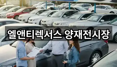 엘앤티렉서스 양재전시장