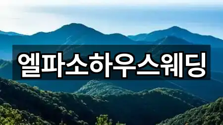 엘파소하우스웨딩