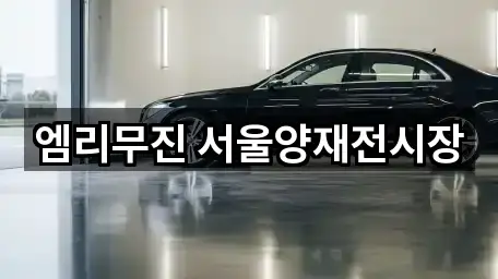 엠리무진 서울양재전시장