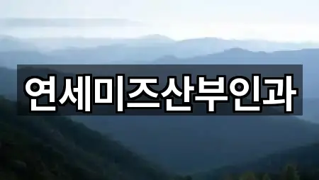 연세미즈산부인과