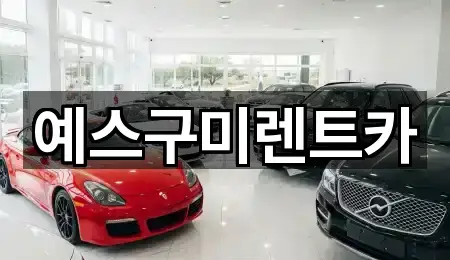 경상북도 임은동 렌트카 5곳 빠른 길찾기