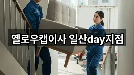 옐로우캡이사 일산day지점