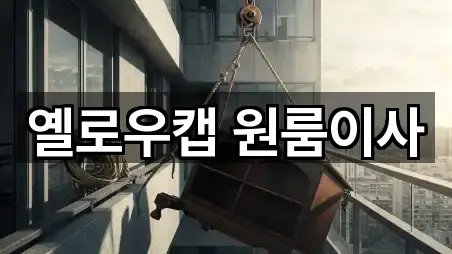 경기도 야탑동 원룸이사 5곳 지도 아카이브