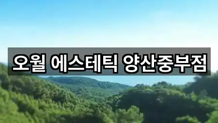 오월 에스테틱 양산중부점