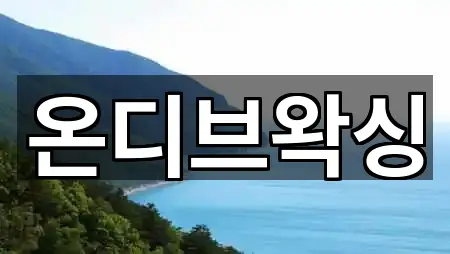 빠르게 연결: 제주 오라일동 에스테틱 5곳