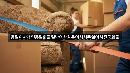 초보자 가이드: 경상남도 진해구 원룸이사 4곳