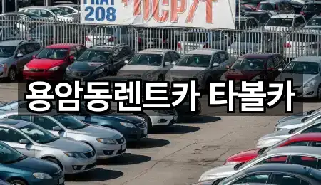 용암동렌트카 타볼카