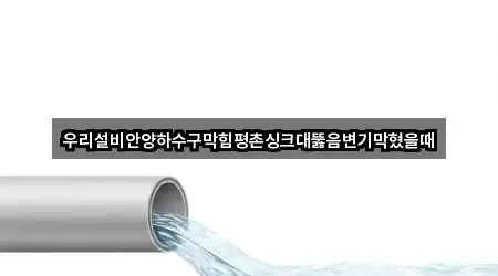 위치 브리핑: 안양 동안구 평촌동 싱크대뚫음 5곳