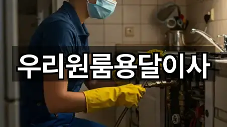 우리원룸용달이사