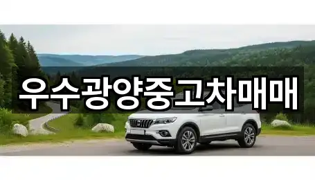 우수광양중고차매매