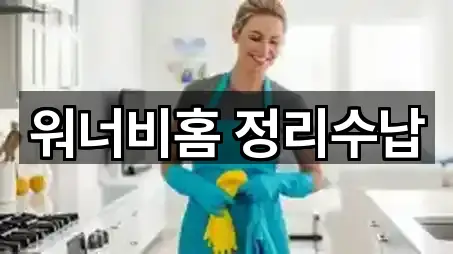 워너비홈 정리수납