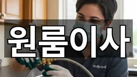 은평구 원룸이사 3곳 주소 체크