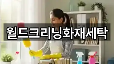 월드크리닝화재세탁