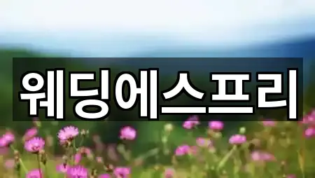 중구 전동 웨딩드레스 추천 목록 2곳