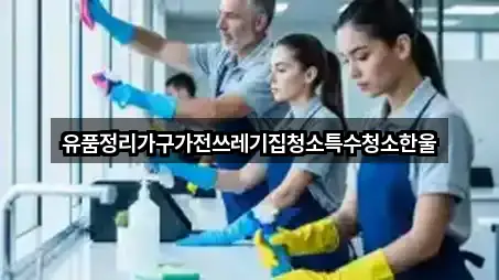 유품정리가구가전쓰레기집청소특수청소한울