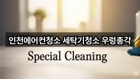 인천광역시 미추홀구 청소업체 5곳 지도 한눈정리