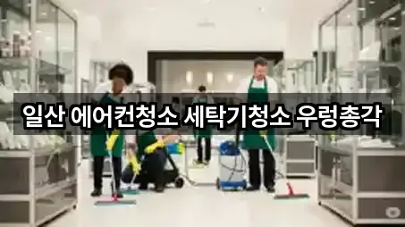 일산 에어컨청소 세탁기청소 우렁총각