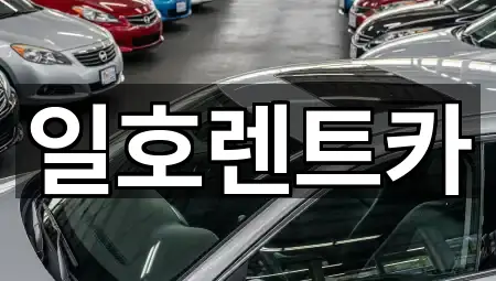 빠르게 연결: 강원 속초시 영랑동 렌트카 3곳