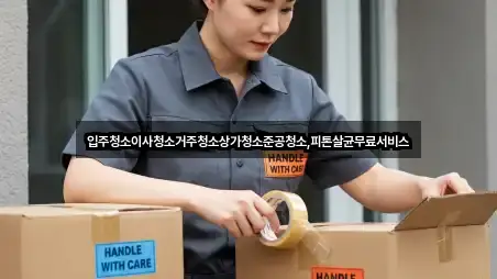 퀵 가이드 광산동 청소 4곳