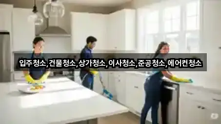 고양 일산동구 장항동 상가청소 4곳 길안내 모음