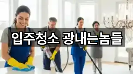 입주청소 광내는놈들