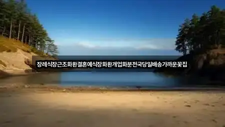 장례식장근조화환결혼예식장화환개업화분전국당일배송가까운꽃집