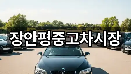 경기도 운중동중고차 설치/시공 3곳