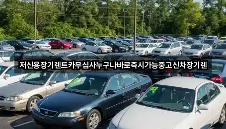 추동장기렌트카 가격·비용 2곳