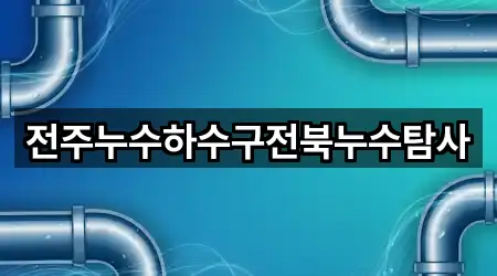 전주누수하수구전북누수탐사