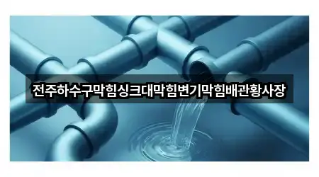 전주하수구막힘싱크대막힘변기막힘배관황사장