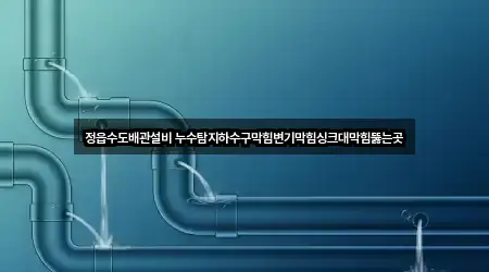 정읍수도배관설비 누수탐지하수구막힘변기막힘싱크대막힘뚫는곳
