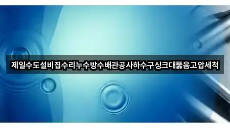 즉시 확인: 전주시 여의동 싱크대뚫음 1곳