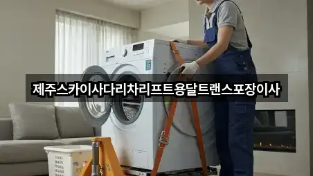 제주스카이사다리차리프트용달트랜스포장이사