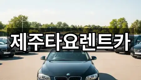제주 이호이동 렌트카 비교표 5곳