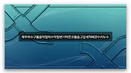 제주하수구뚫음막힘하수막힘변기막힌곳뚫음고압세척배관수리누수