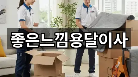 좋은느낌용달이사