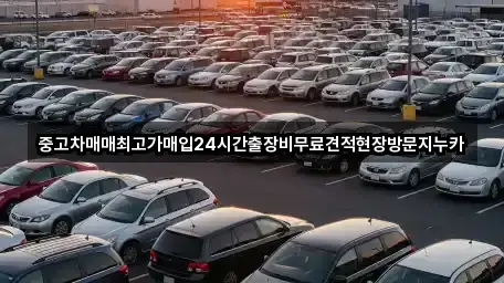 중고차매매최고가매입24시간출장비무료견적현장방문지누카