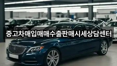 지금 인기 전북 군산시 송풍동 중고차 3곳