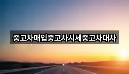 중고차매입중고차시세중고차대차
