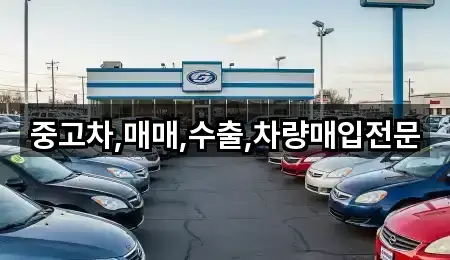 중고차,매매,수출,차량매입전문