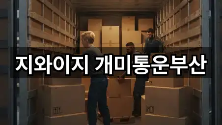 지와이지 개미통운부산