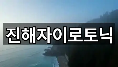 진해자이로토닉