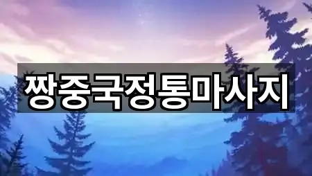 짱중국정통마사지