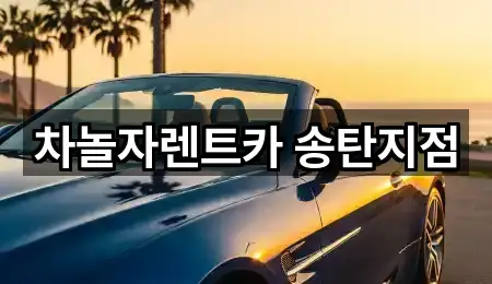 차놀자렌트카 송탄지점